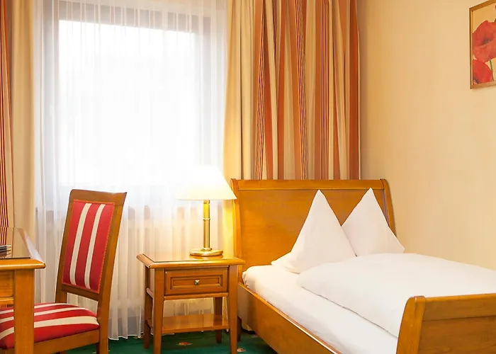 Wilder Mann Hotel 3*