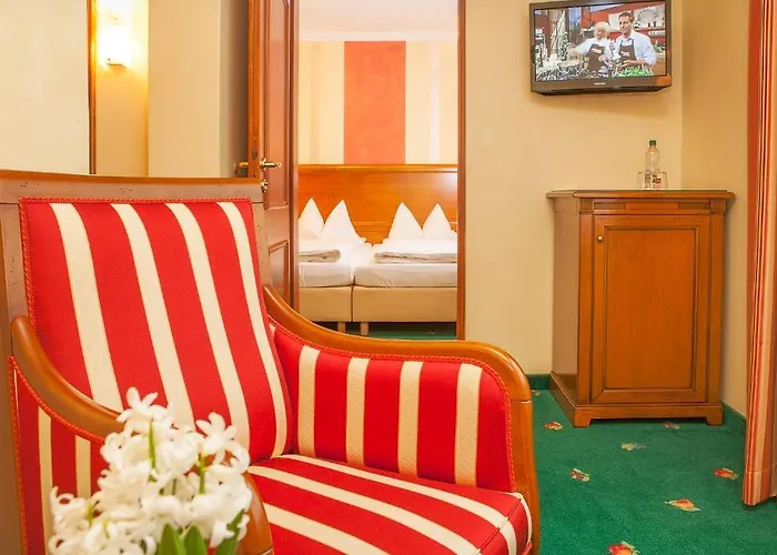 Wilder Mann Hotel 3*