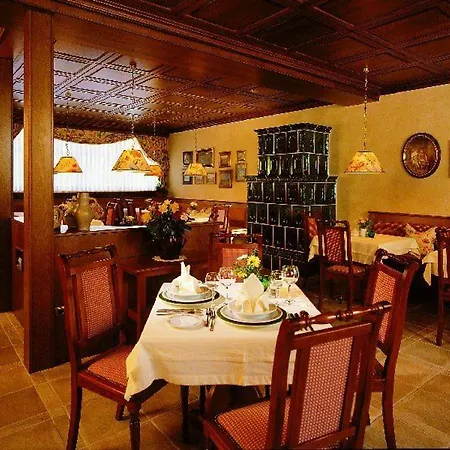 Wilder Mann Hotel 3*