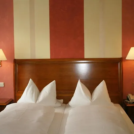 Wilder Mann Hotel 3*