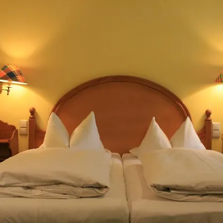 Hotel Wilder Mann 3*