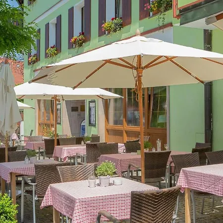 Wilder Mann Hotel 3*